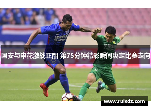 国安与申花激战正酣 第75分钟精彩瞬间决定比赛走向
